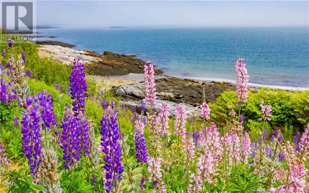 1424 Route 175, Pocologan, NB