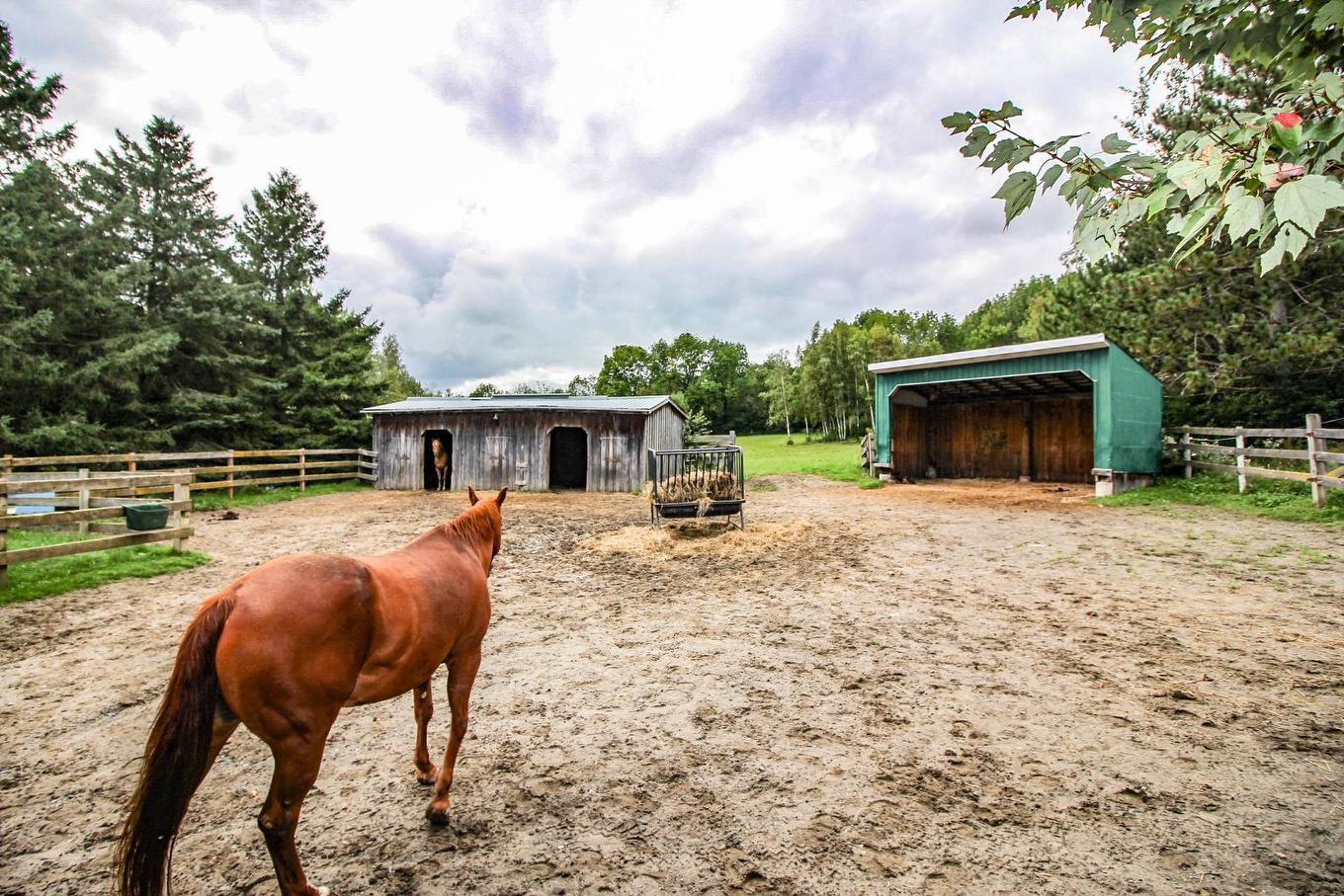 Exterior - 7655 Rue St-François N., Sherbrooke (Brompton/Rock Forest/Saint-Élie/Deauville), QC - Outdoor