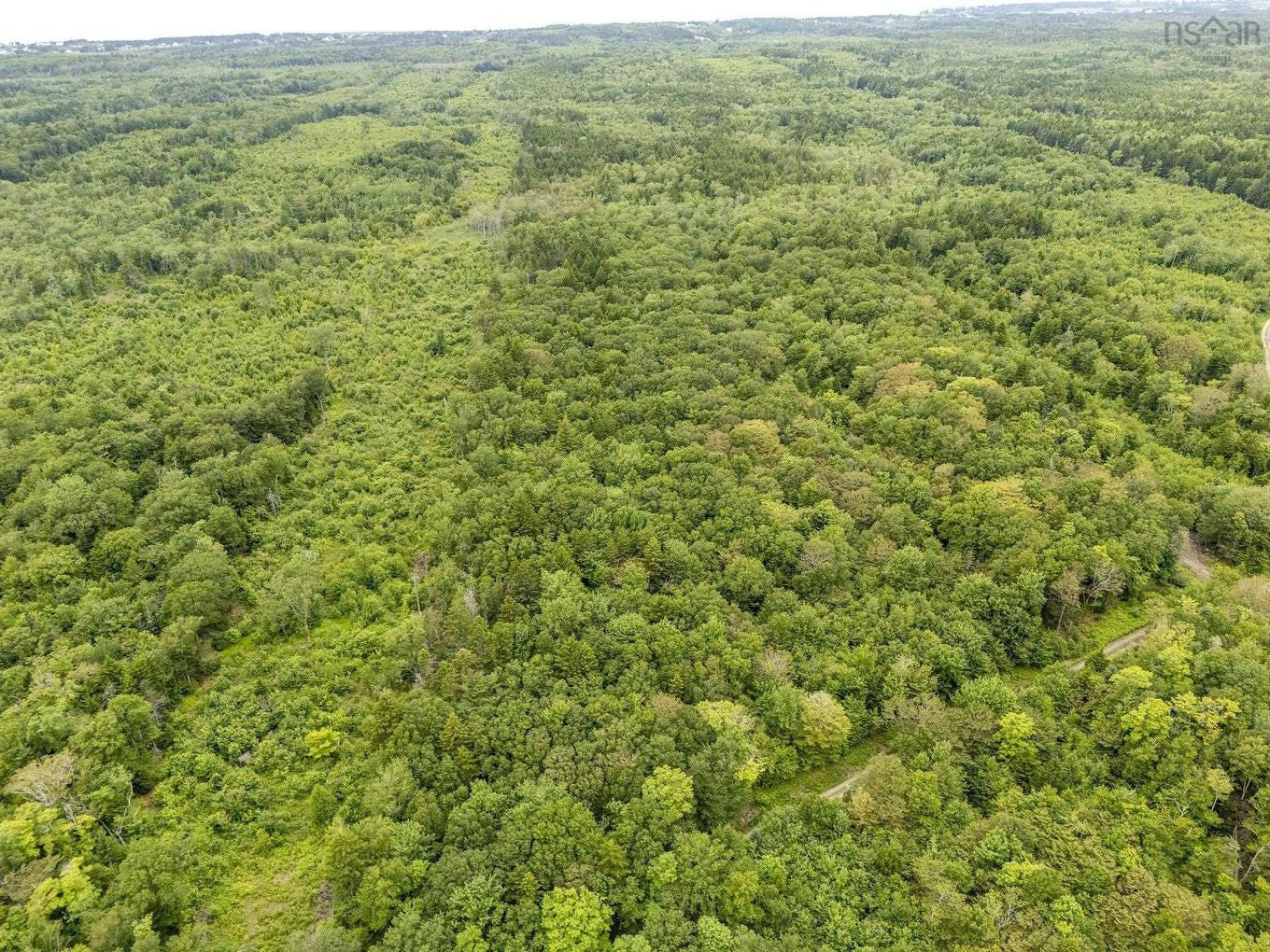 Lot 1 Highway 1, Grosses Coques, NS