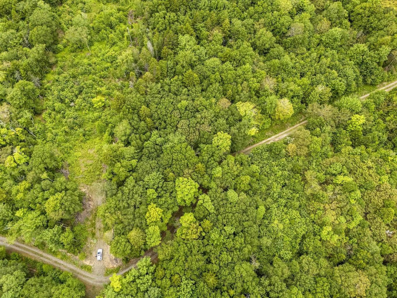 Lot 1 Highway 1, Grosses Coques, NS