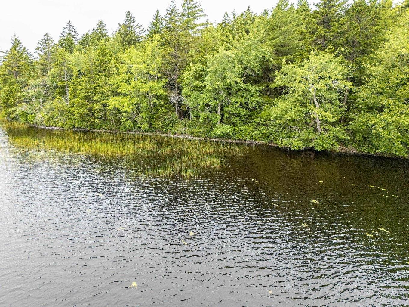 Lot 1 Highway 1, Grosses Coques, NS