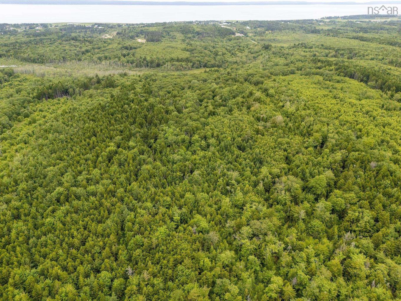 Lot 1 Highway 1, Grosses Coques, NS