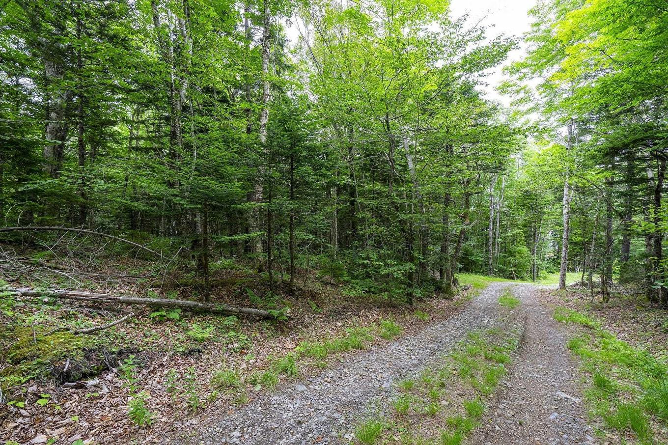 Lot 1 Highway 1, Grosses Coques, NS