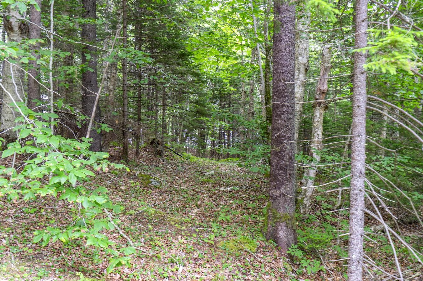 Lot 1 Highway 1, Grosses Coques, NS