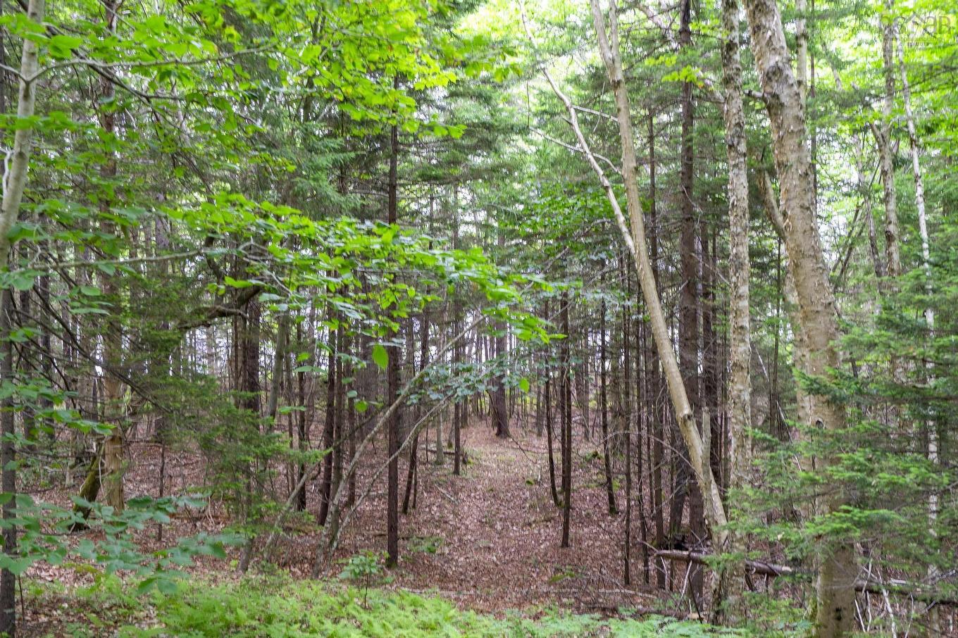 Lot 1 Highway 1, Grosses Coques, NS