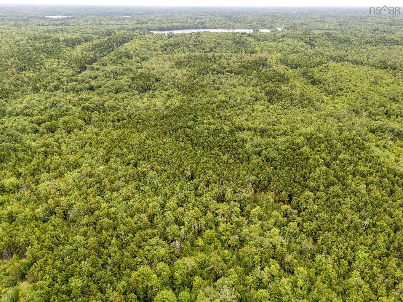 Lot 1 Highway 1, Grosses Coques, NS
