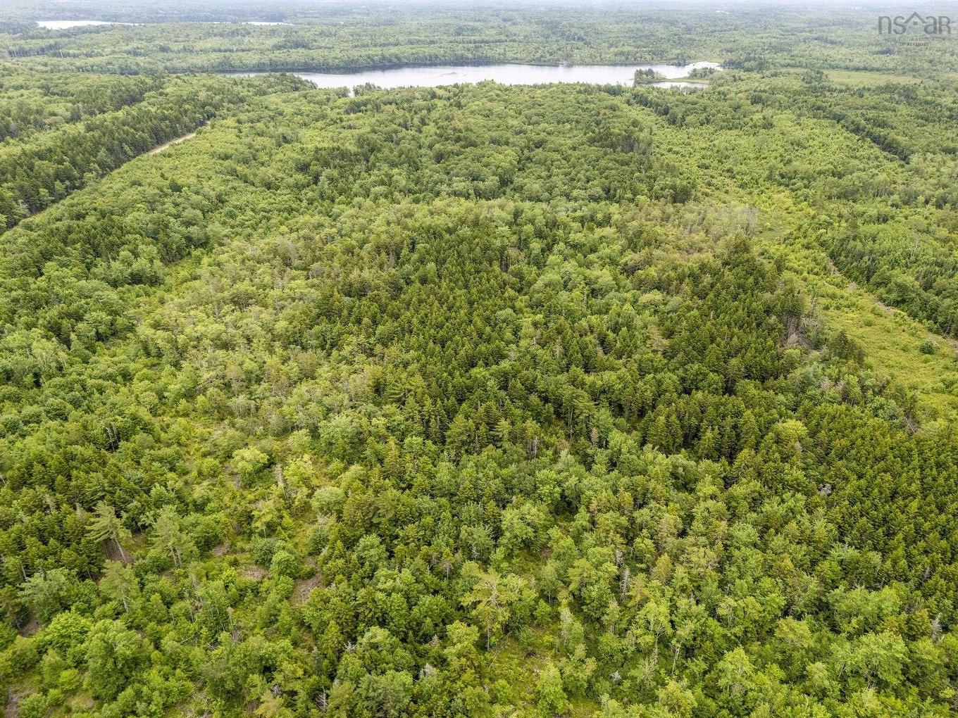 Lot 1 Highway 1, Grosses Coques, NS
