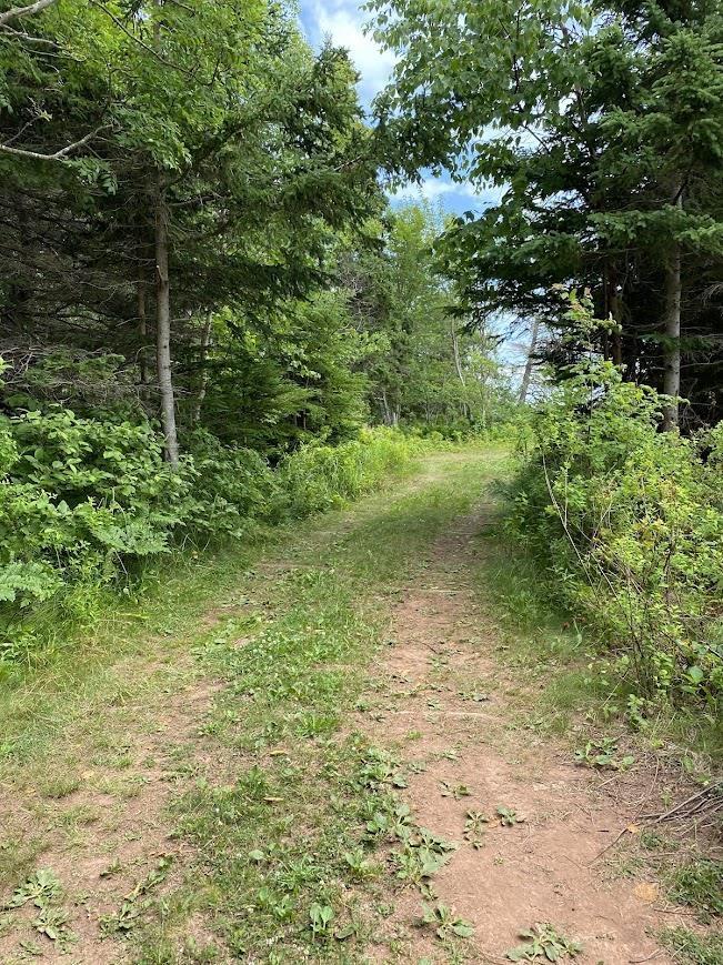 Lot Maclean Road, Milo, PE