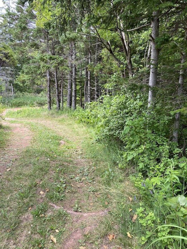 Lot Maclean Road, Milo, PE