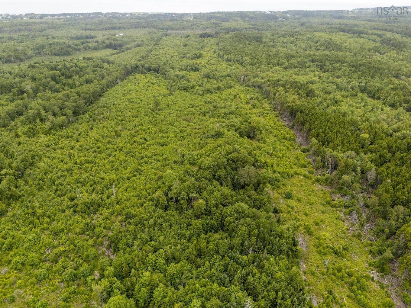 Lot 4 Highway 1, Grosses Coques, NS