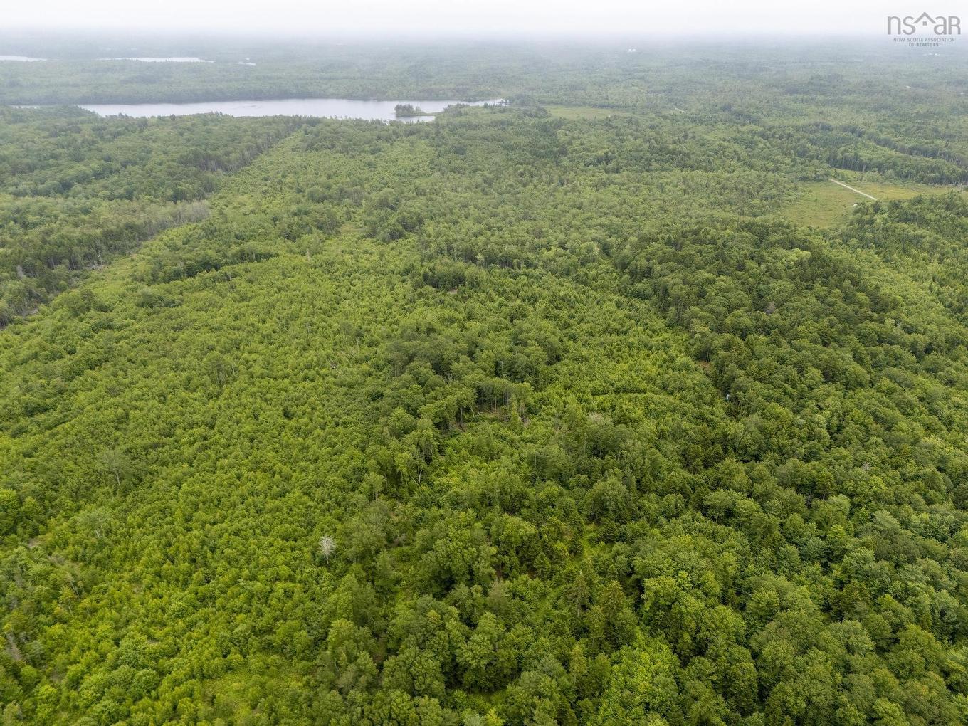 Lot 4 Highway 1, Grosses Coques, NS