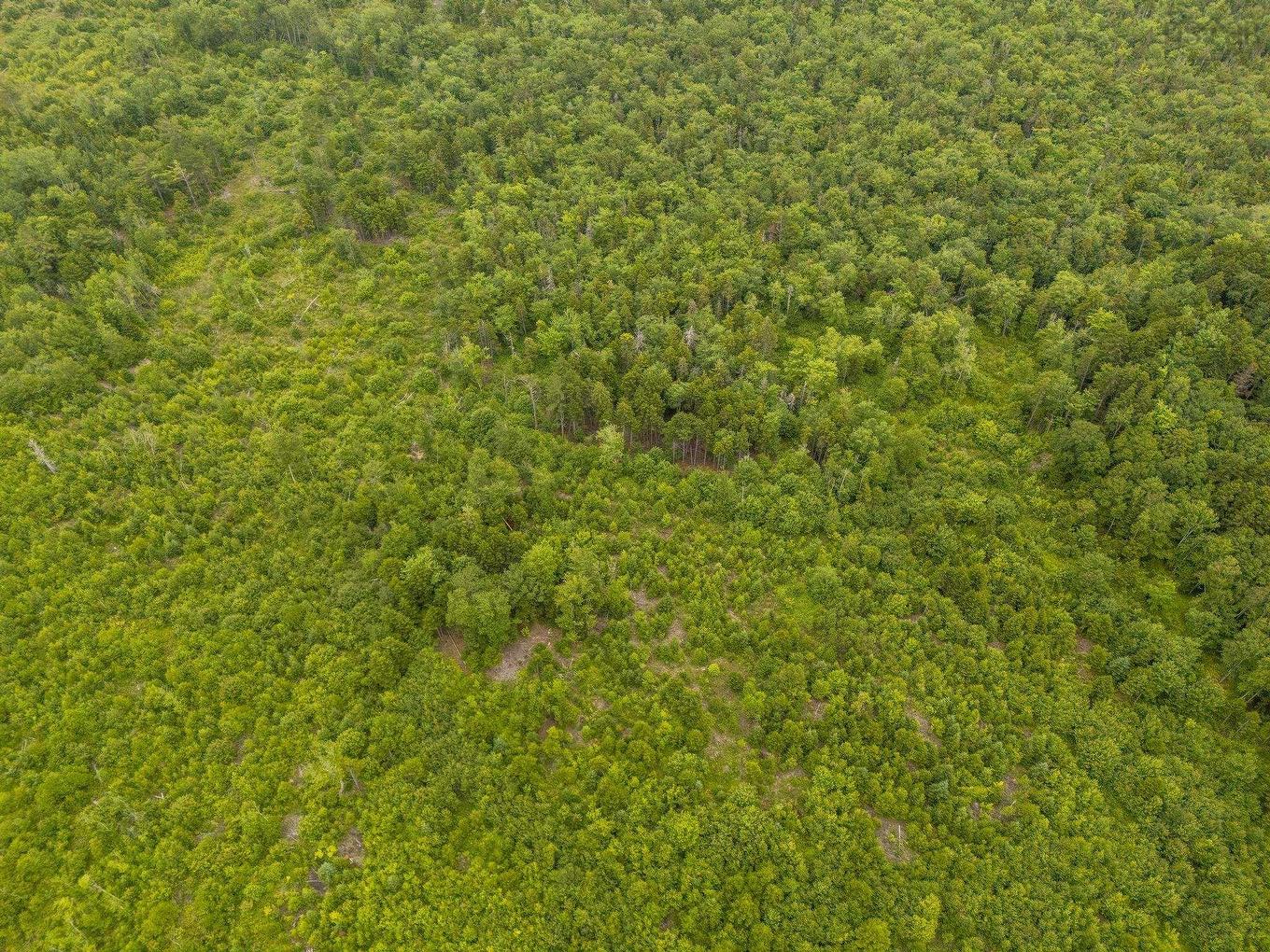 Lot 4 Highway 1, Grosses Coques, NS