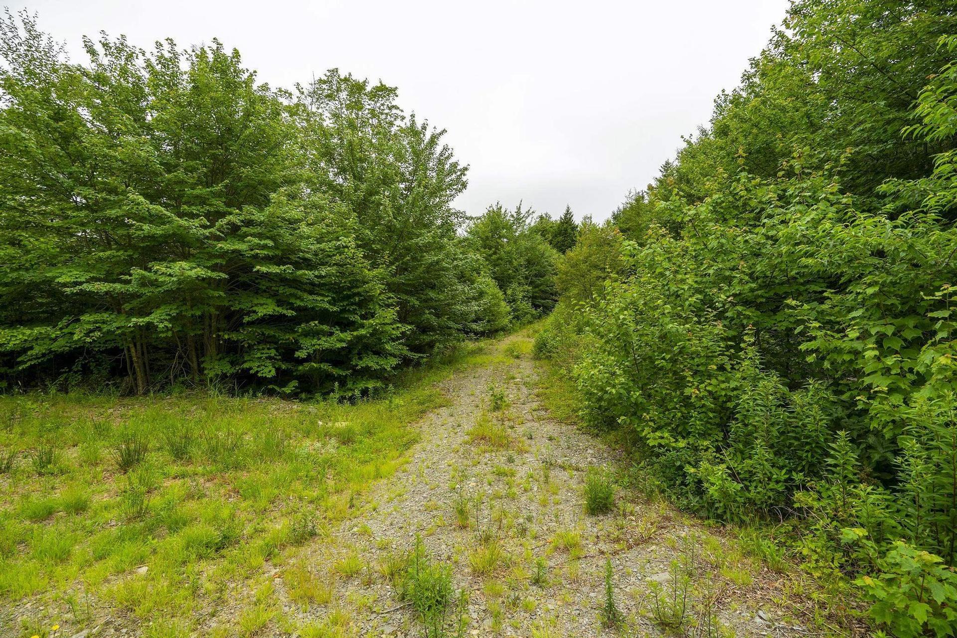 Lot 4 Highway 1, Grosses Coques, NS