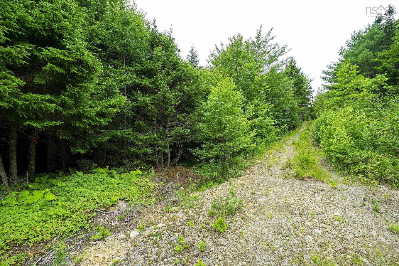 Lot 4 Highway 1, Grosses Coques, NS