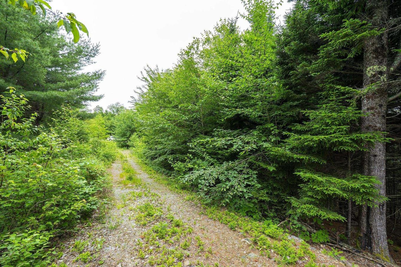 Lot 4 Highway 1, Grosses Coques, NS