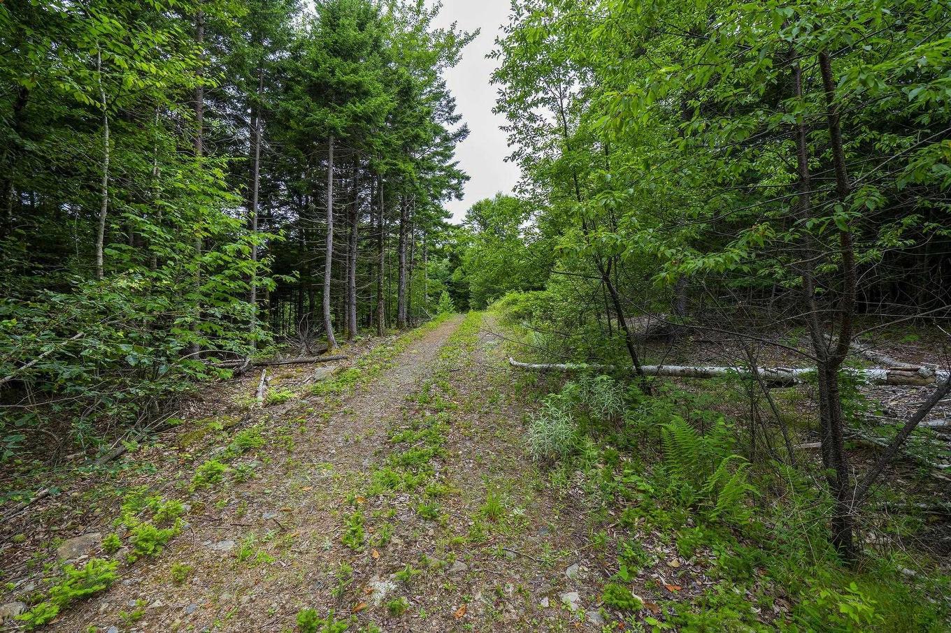 Lot 4 Highway 1, Grosses Coques, NS