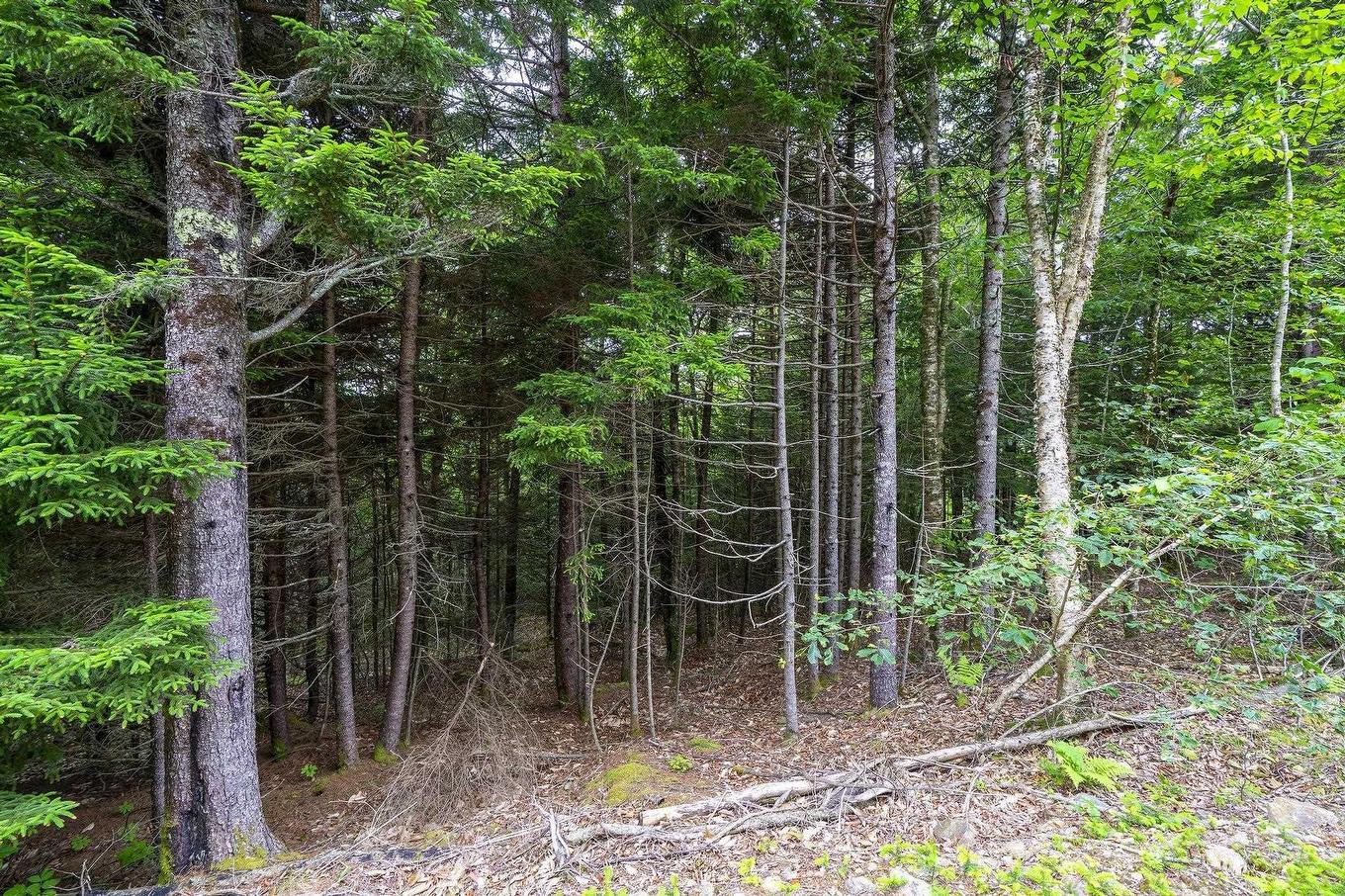 Lot 4 Highway 1, Grosses Coques, NS