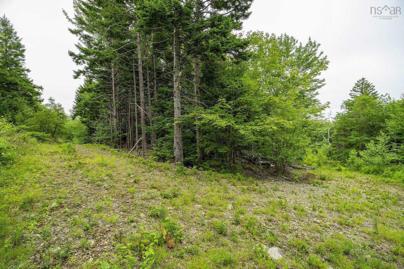 Lot 4 Highway 1, Grosses Coques, NS