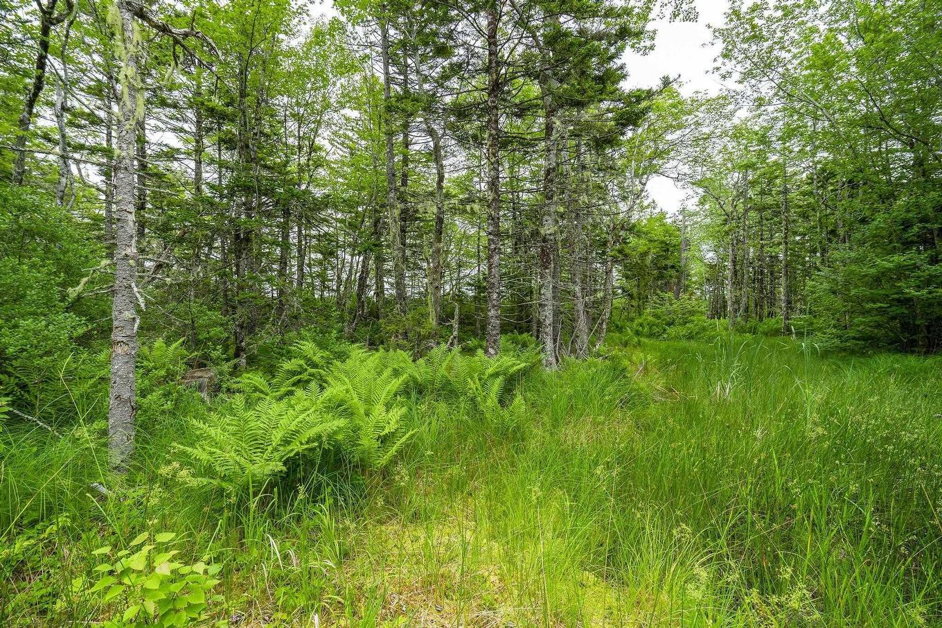 Lot 4 Highway 1, Grosses Coques, NS