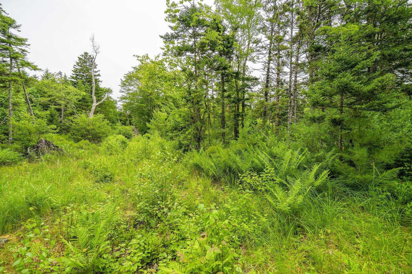 Lot 4 Highway 1, Grosses Coques, NS