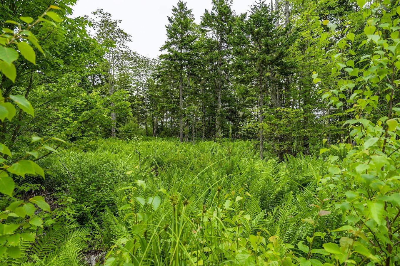 Lot 4 Highway 1, Grosses Coques, NS