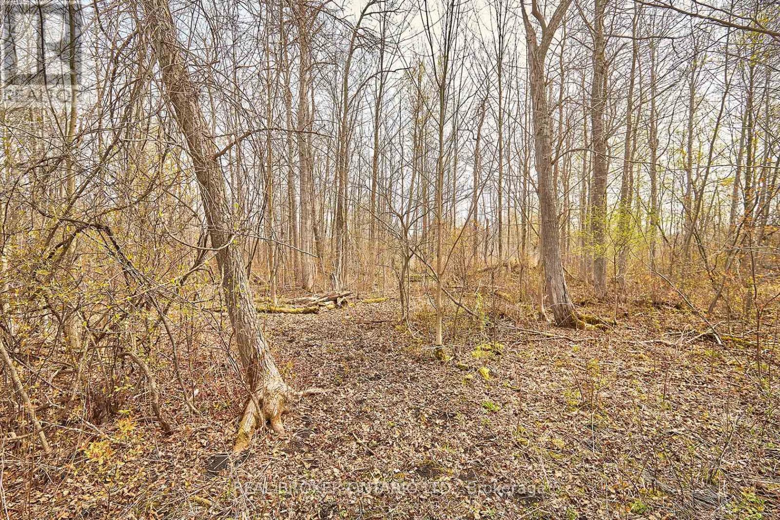 504224 89 Highway, Amaranth, ON - Outdoor