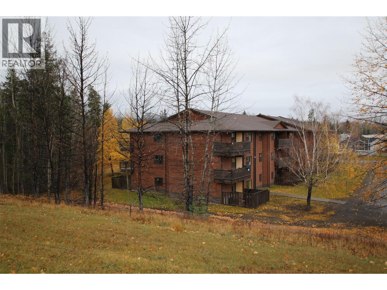 195 Chamberlain Crescent Unit# 206, Tumbler Ridge, BC - Outdoor