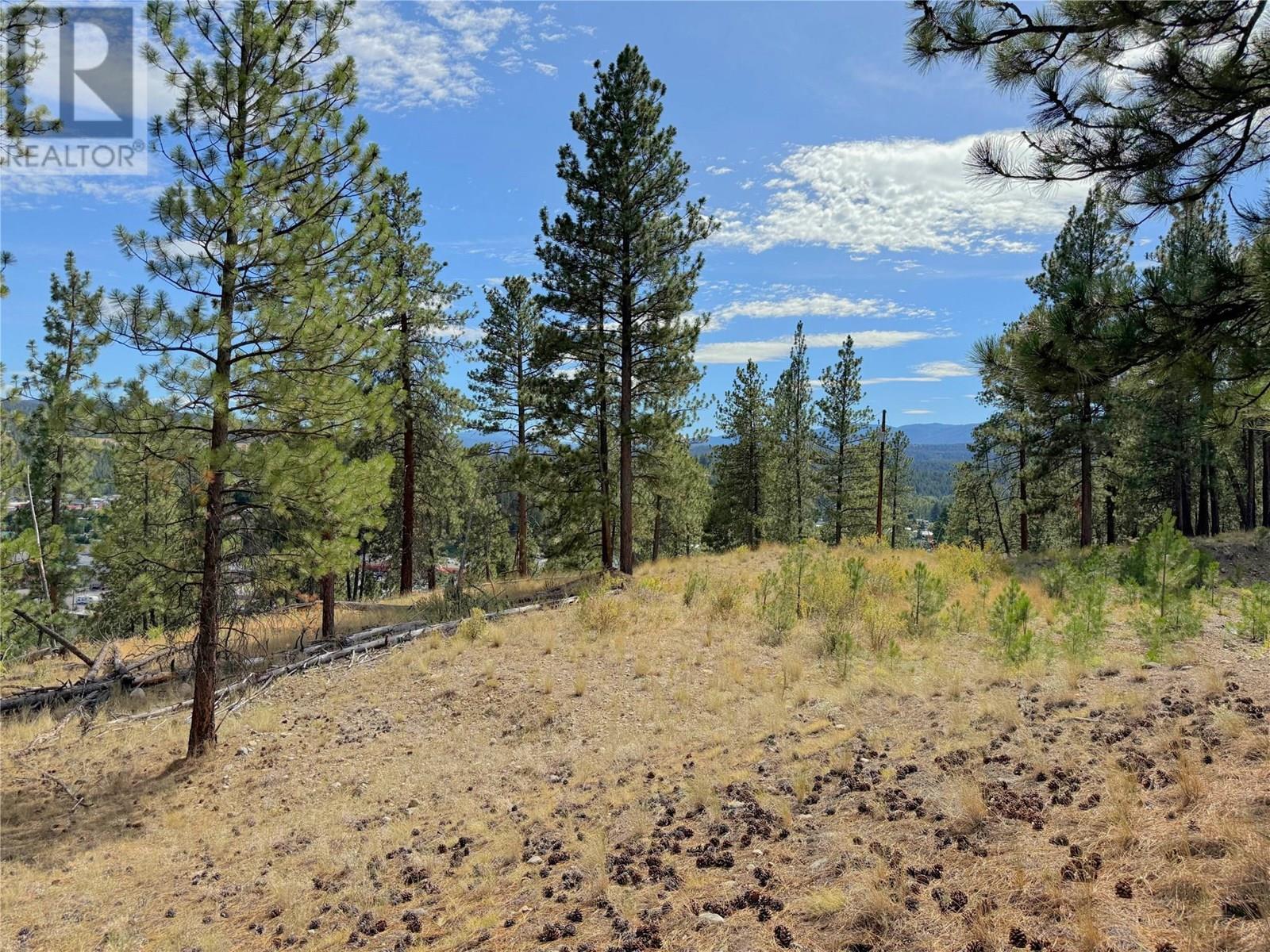 101 Jacobson Road, Princeton, BC