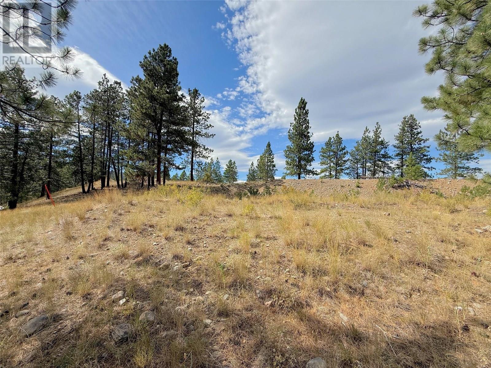 101 Jacobson Road, Princeton, BC