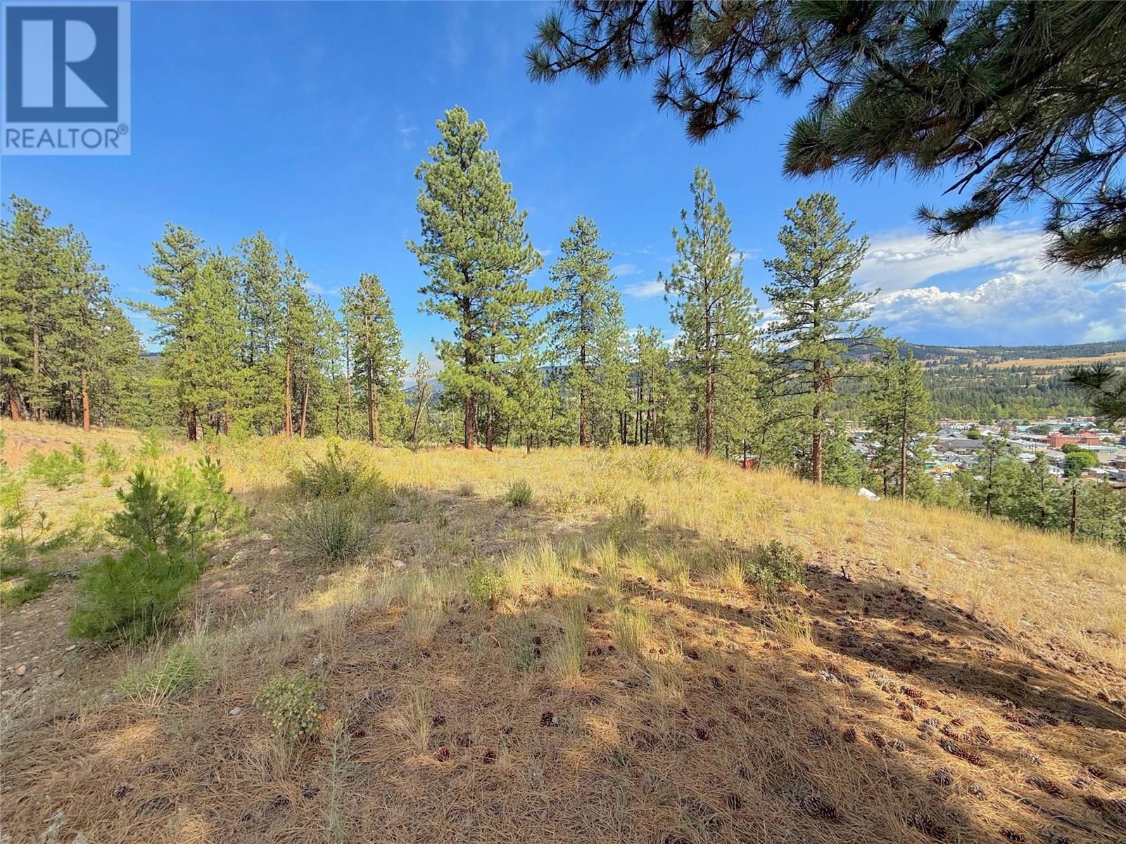 101 Jacobson Road, Princeton, BC