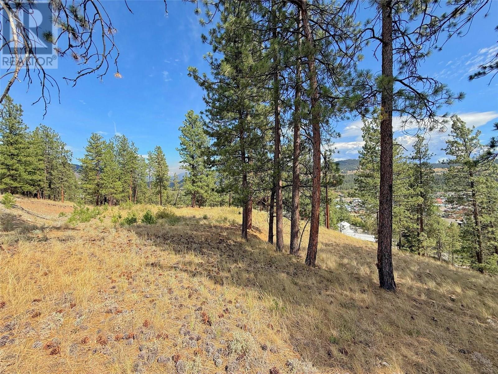 101 Jacobson Road, Princeton, BC