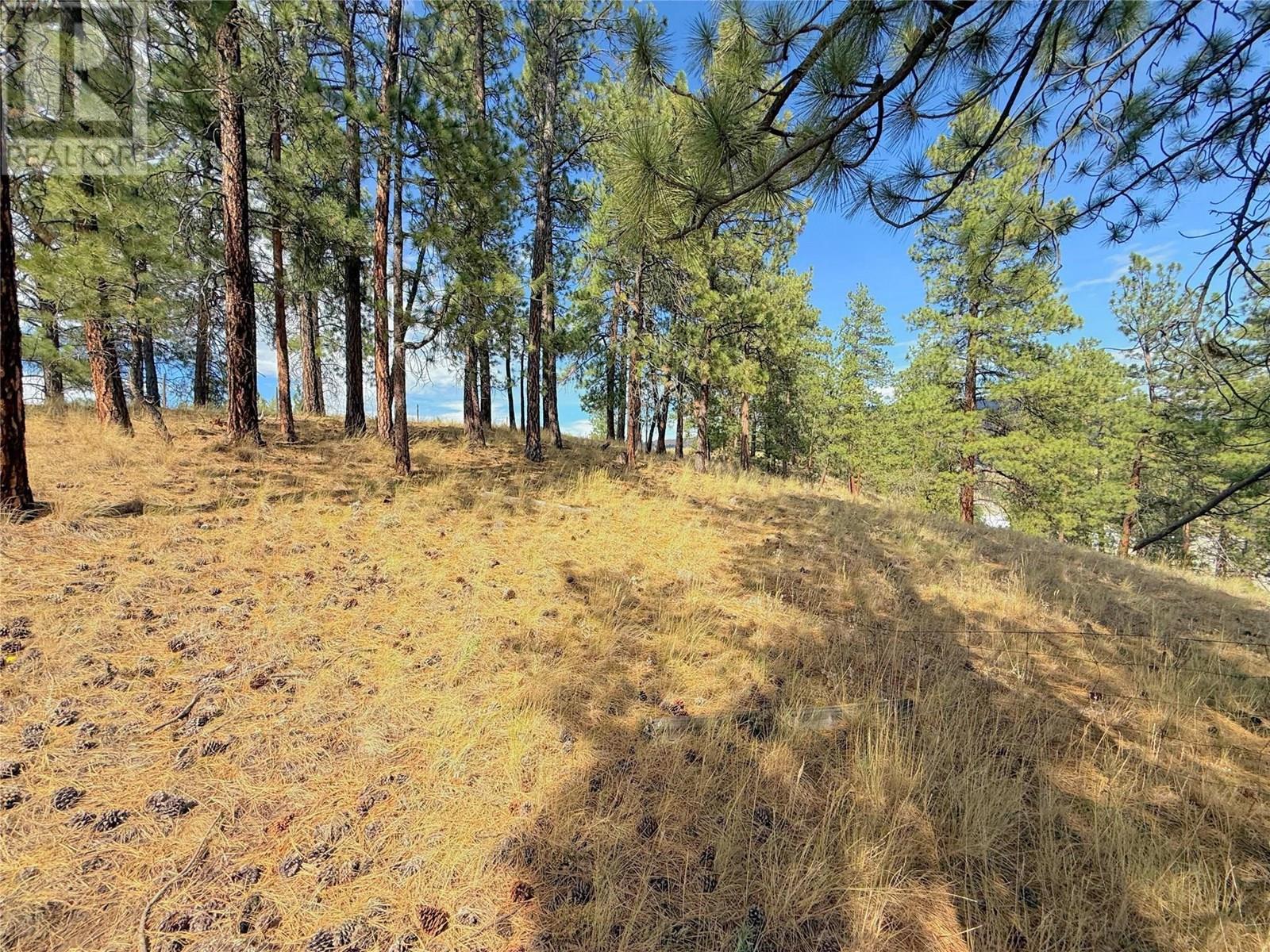 101 Jacobson Road, Princeton, BC