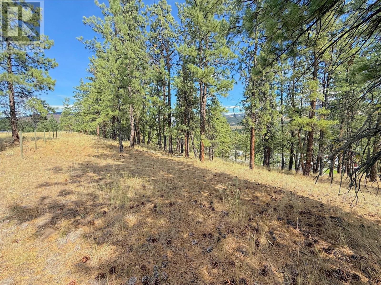 101 Jacobson Road, Princeton, BC