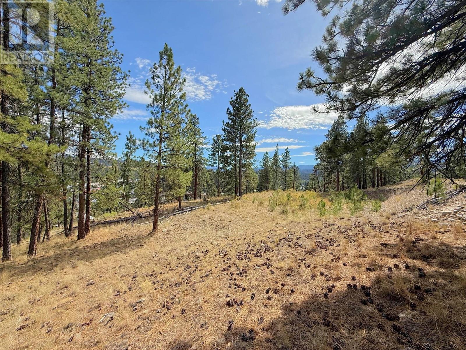 101 Jacobson Road, Princeton, BC