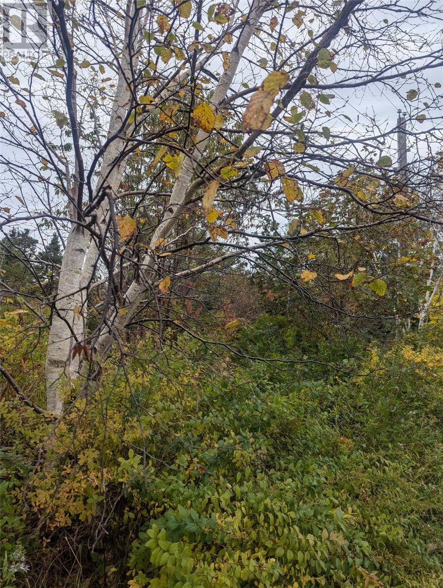 6-10 Parsons Place, Conception Bay South, NL