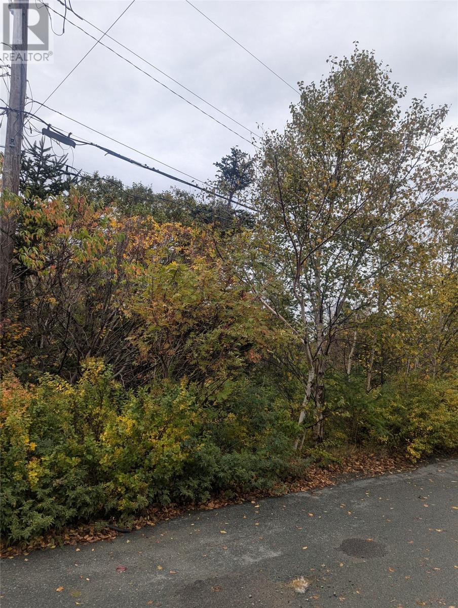 6-10 Parsons Place, Conception Bay South, NL