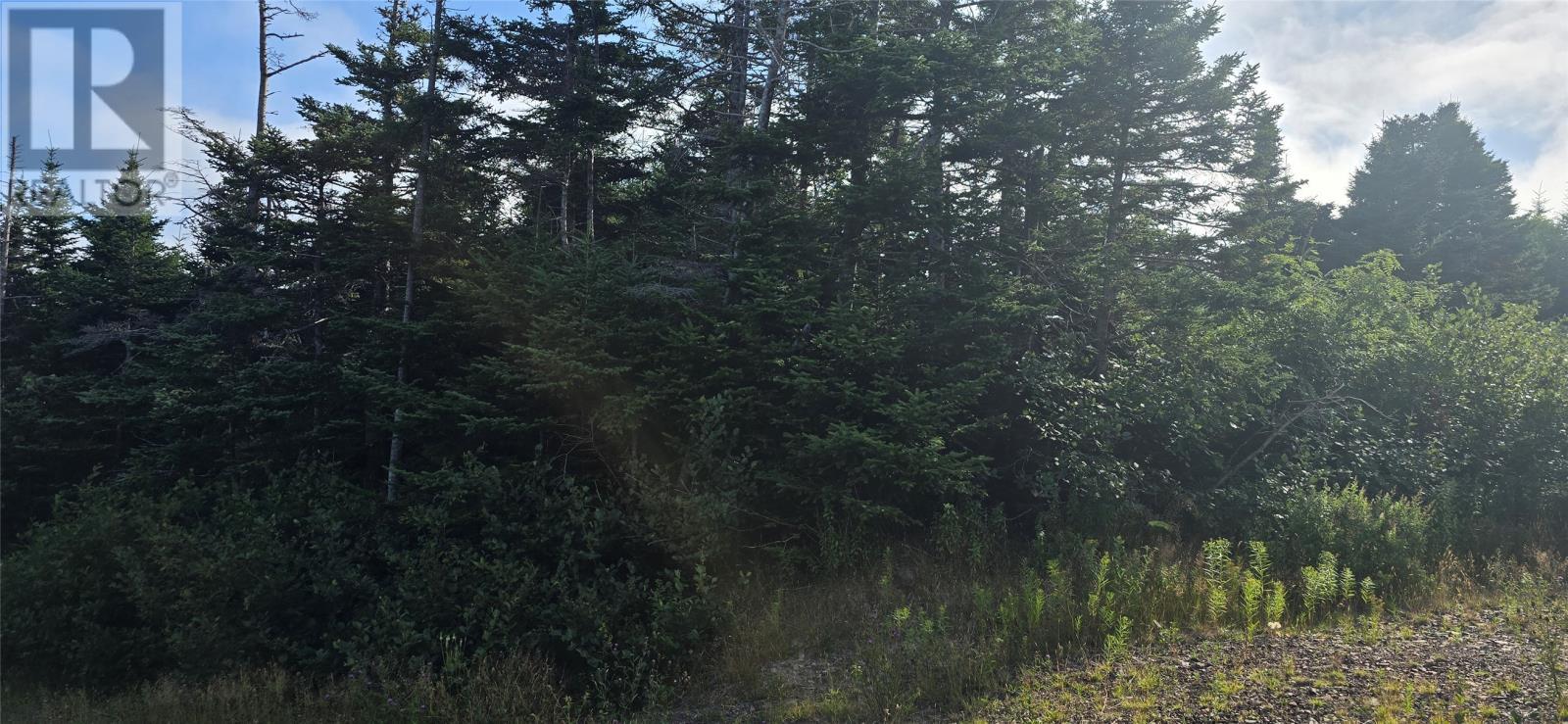 100C Main Street, Lewin'S Cove, NL