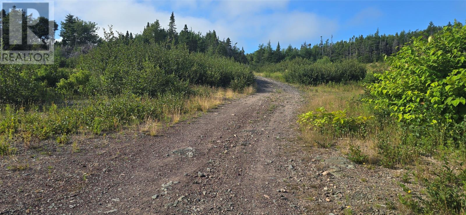 100C Main Street, Lewin'S Cove, NL