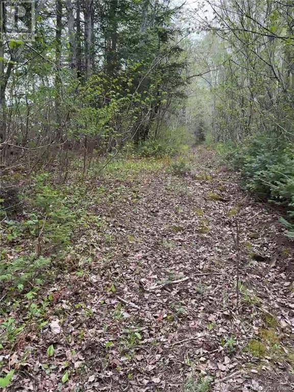 14 Acres Islandview Drive, Miramichi, NB