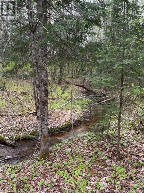 14 Acres Islandview Drive, Miramichi, NB