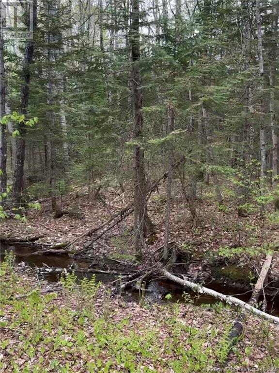 14 Acres Islandview Drive, Miramichi, NB