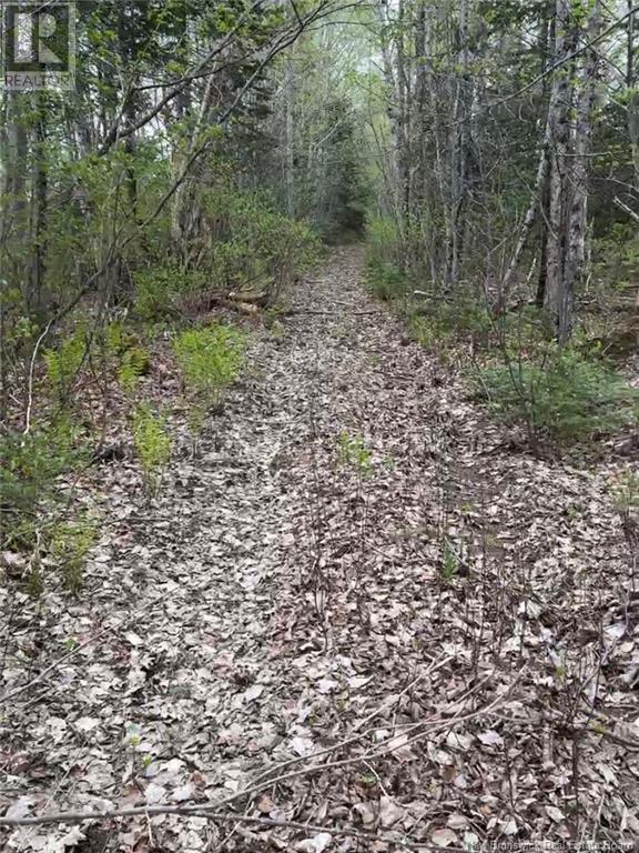 14 Acres Islandview Drive, Miramichi, NB