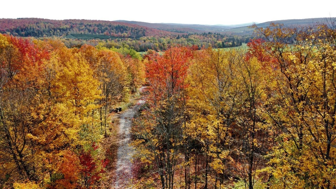 Photo aérienne - B Ch. Du Sous-Bois, Inverness, QC