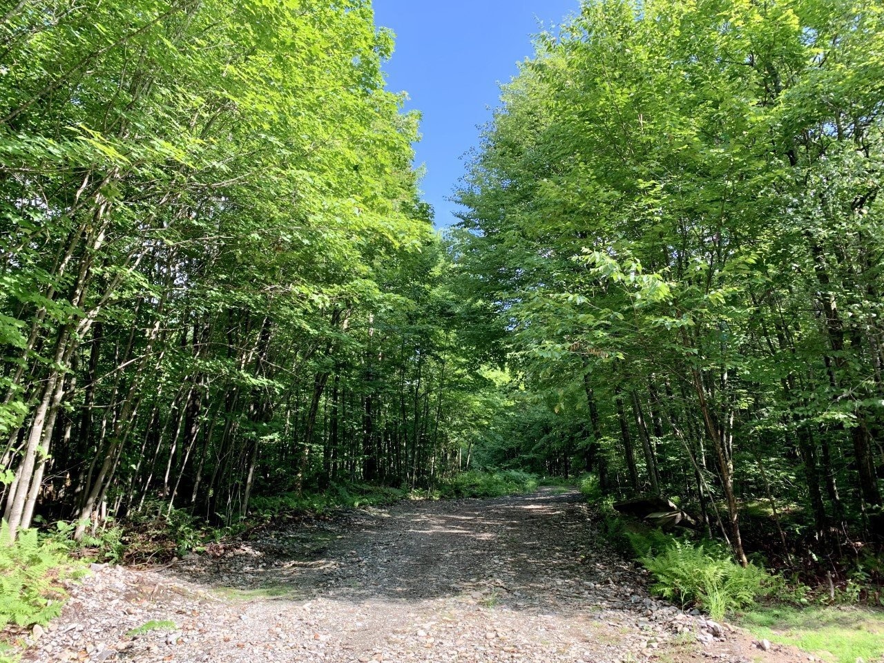 Terre/Terrain - B Ch. Du Sous-Bois, Inverness, QC