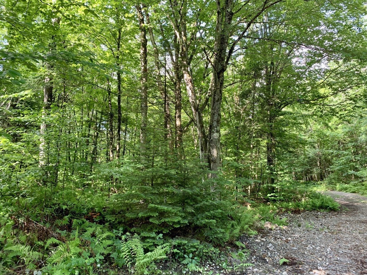 Terre/Terrain - B Ch. Du Sous-Bois, Inverness, QC