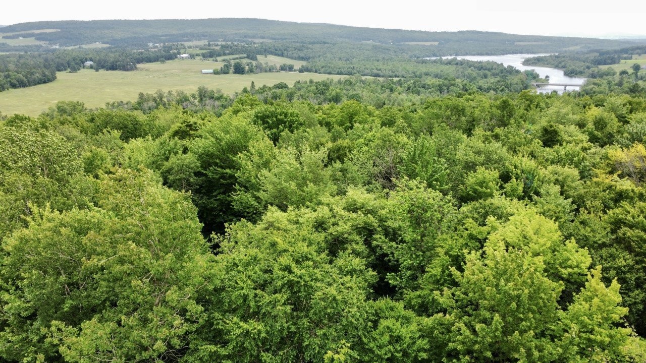 Photo aérienne - B Ch. Du Sous-Bois, Inverness, QC