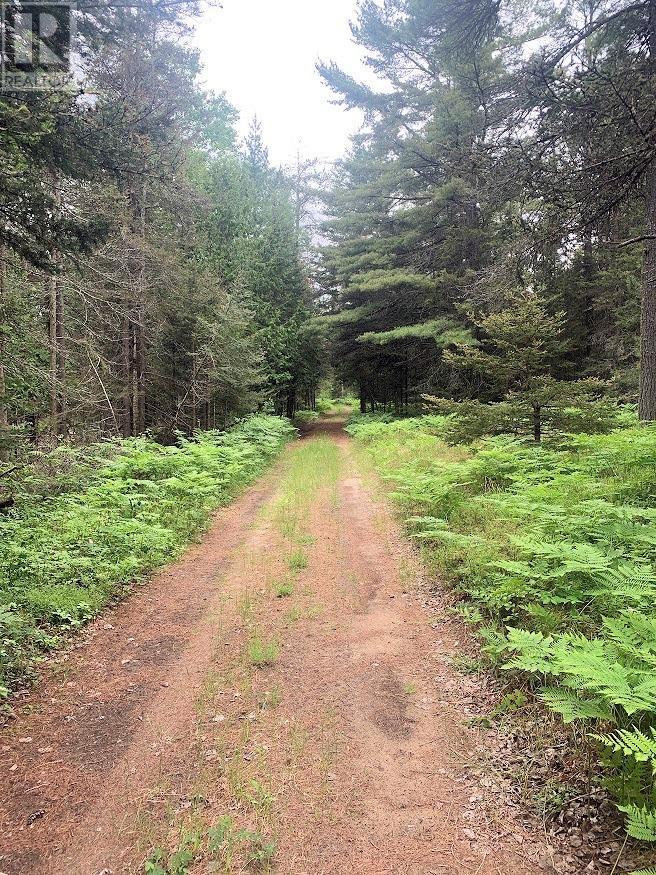 L17C3 Robinson Walkhouse Road, Silver Water, Manitoulin Island, ON