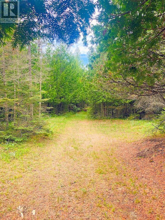 L17C3 Robinson Walkhouse Road, Silver Water, Manitoulin Island, ON