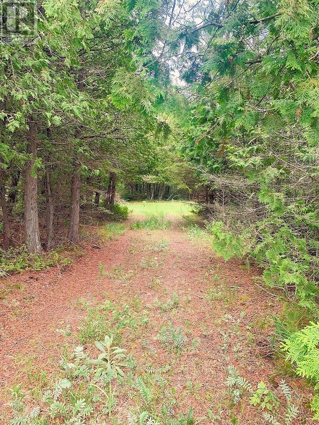 L17C3 Robinson Walkhouse Road, Silver Water, Manitoulin Island, ON