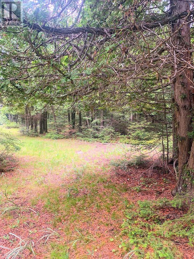 L17C3 Robinson Walkhouse Road, Silver Water, Manitoulin Island, ON